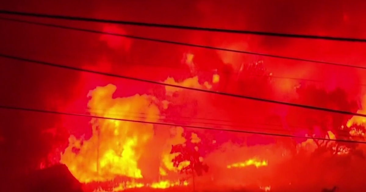 Forest fires burn in Portugal killing many people